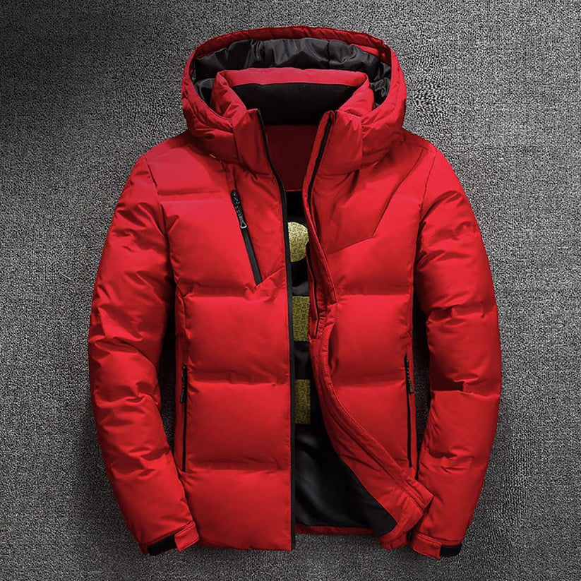 ash - wattierte winterjacke für herren